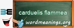 WordMeaning blackboard for carduelis flammea